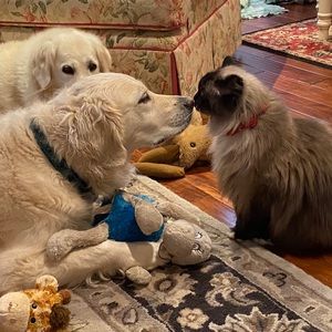 Meet your Posher, Laura